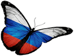 🦋