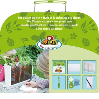 ***BESTSELLER*** КЕЙС OUTDOOR: КАК РАСТУТ РАСТЕНИЯ