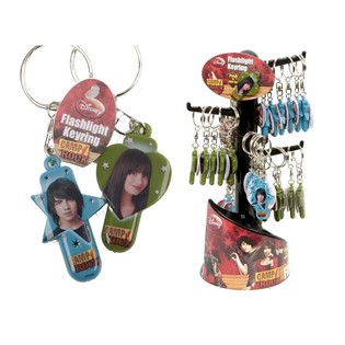 СВЕТЯЩИЙСЯ БРЕЛОК CAMP ROCK НА ДИСПЛЕЕ (36 шт.)