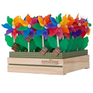 SEEDLING - Ветрячки в деревянном дисплее (20 шт.)